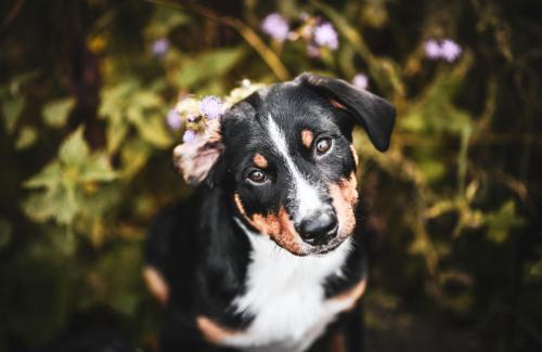 6123483e-1ca3-455b-b72f-701d7974c672-scaled