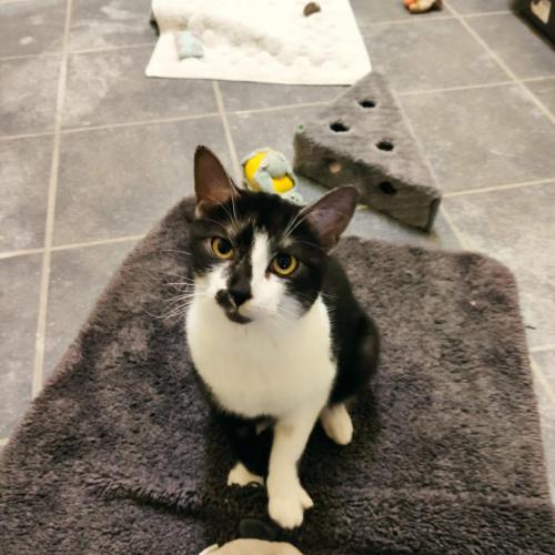 86c245cd-71db-4d20-a1ac-5d97b5be30ad