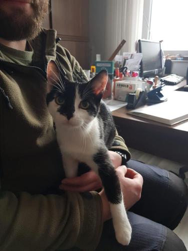 a2700a26-043b-42aa-98d2-8ee347f3c1a2