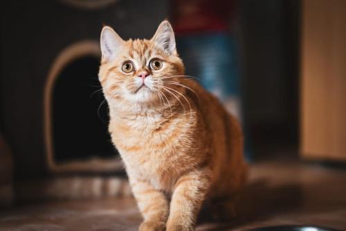 a4b92280-035a-47f6-af2b-b34dc3d4980b