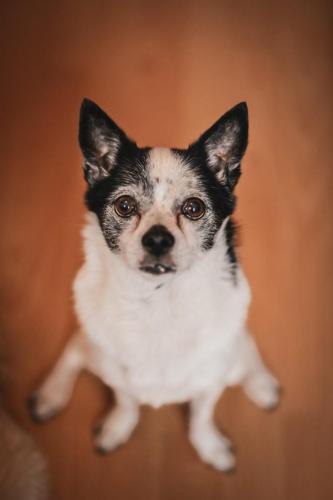 b96409bd-3d21-469d-a38c-8117a47ceccd