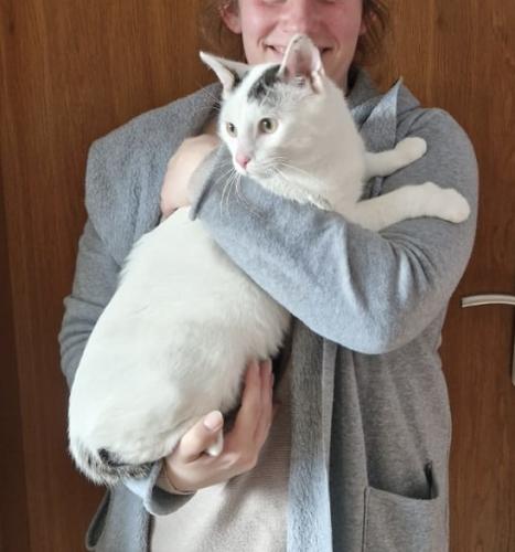 c99d102a-6285-42b6-b226-3742b582916c