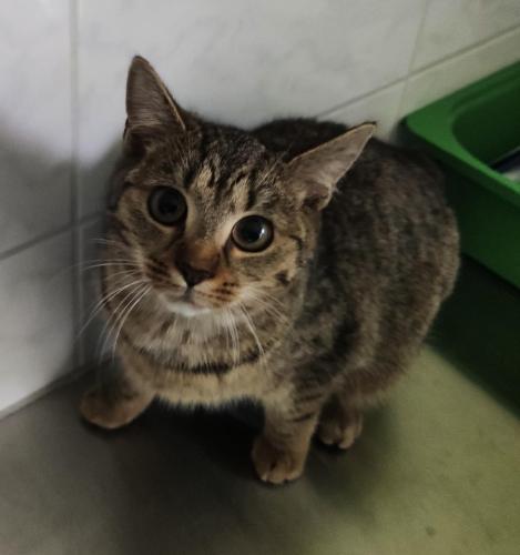 cdcbe9a5-fdab-44d4-bed2-167c42f82f5a