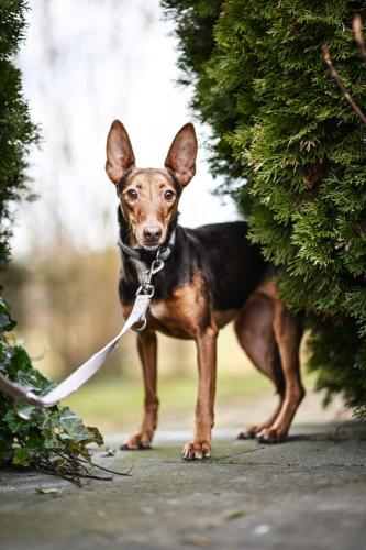 d68a99fa-cc9e-4970-ab42-b033a1bc90d4