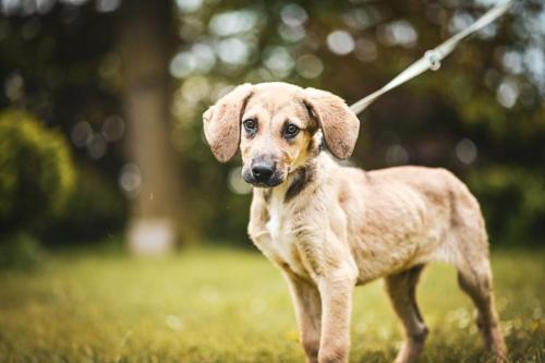 wp-17138508313368527820407311334087