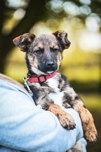 wp-17138508508988931843729942979960