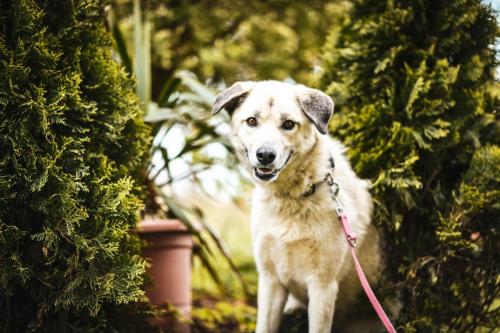 wp-17138508741434384499616148457497