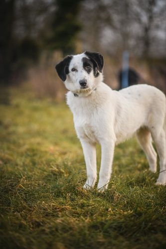 dsc5980-12952731923589065764