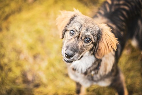 dsc6080-16754471095966027469