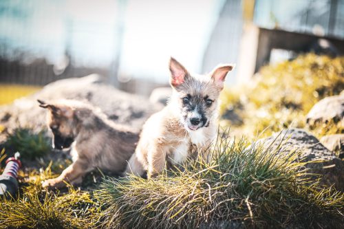 dsc6707-13601497901939939618