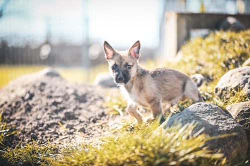 dsc6711-23482925375350554897