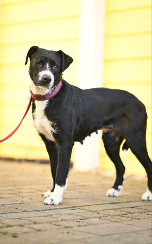 dsc6752-14374352879569153944