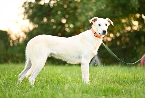 dsc9488-16612955626488314565