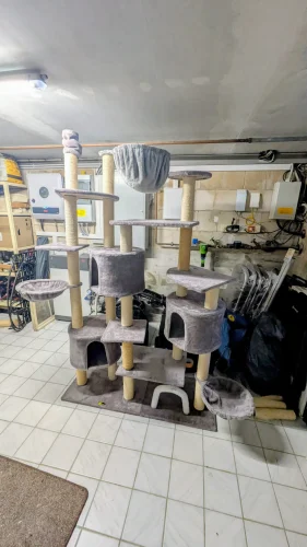 WhatsApp Image 2026-01-10 at 12.37.50